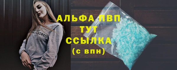 дживик Бородино