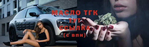 дживик Бородино