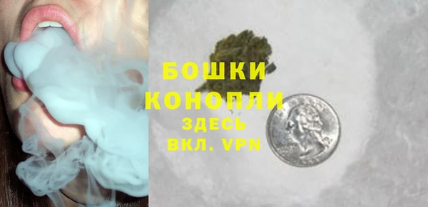 дживик Бородино