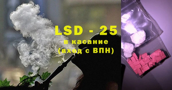 дживик Бородино