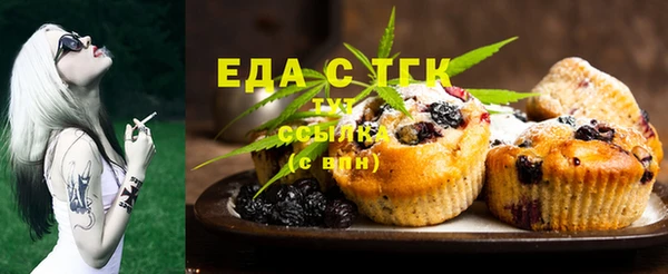 дживик Бородино